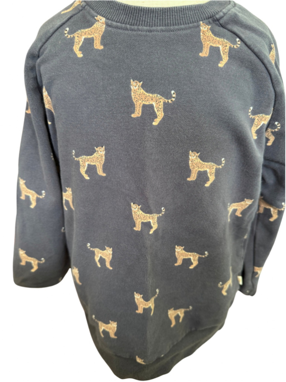 Boys Jamie Kay Leopard Print Sweatshirt Grey Tan Size 4T